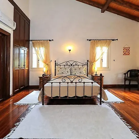 Kamelia カシオピ