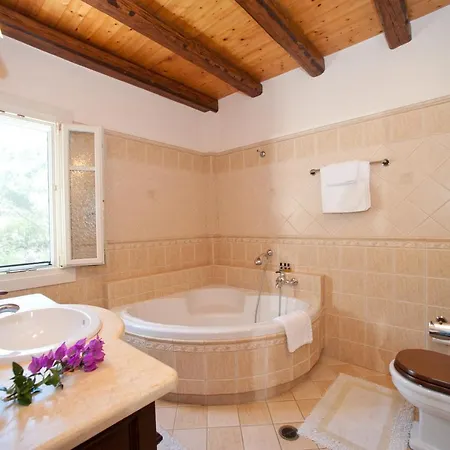 Kamelia * カシオピ