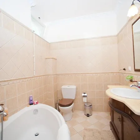 Kamelia * カシオピ