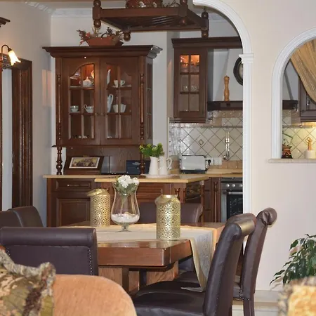 Kamelia カシオピ