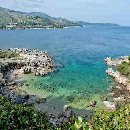 Kamelia * Kassiopi
