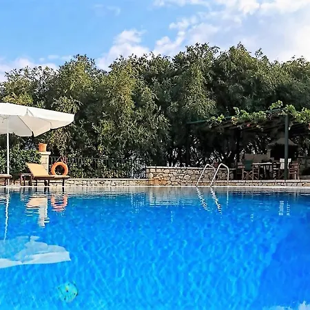 Kamelia Κασσιόπη