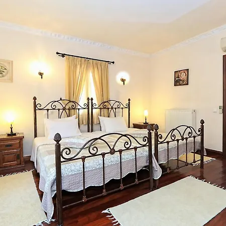 Kamelia Κασσιόπη
